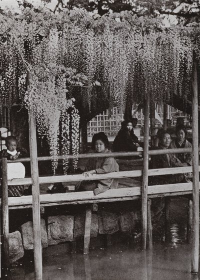 Kameido'da bir Wistaria Arbor (s/b fotoğraf) by Herbert Ponting