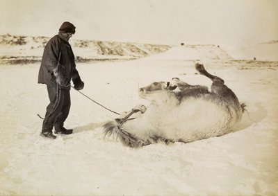  by Herbert Ponting