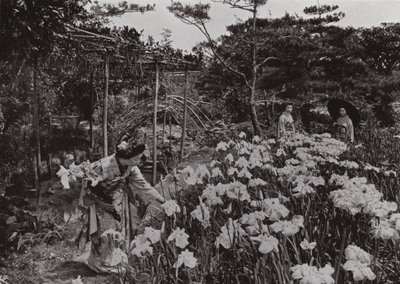 Hori-kiri