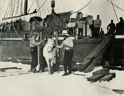 Midillilerin Karaya Çıkarılması, c19101913, 1913 by Herbert Ponting