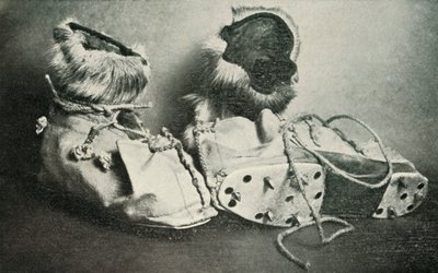 Kramponlu Finnesko, c19101913, 1913 by Herbert Ponting