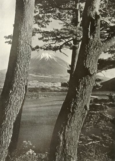 Motosu Gölü Çamlarının Arasında Fuji, 1910. by Herbert Ponting
