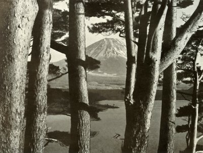 Fuji ve Çam Ağaçları, 1910. by Herbert Ponting