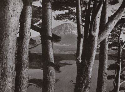 Çam Ağaçlarının arasından Fuji (s/b fotoğraf) by Herbert Ponting