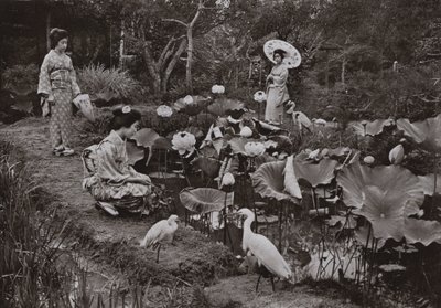 Lotus Bahçesinde (s/b fotoğraf) by Herbert Ponting
