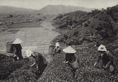 1920