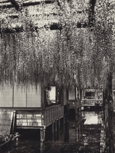 1920