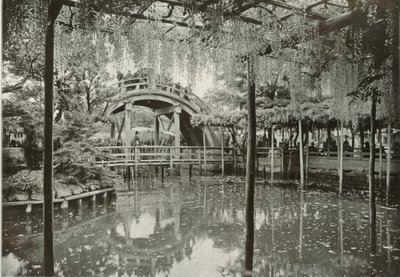 Kameido, 1910. by Herbert Ponting