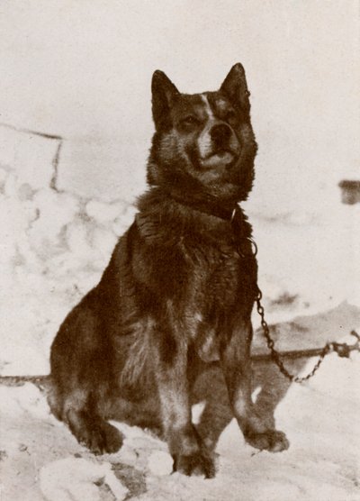 Krisravica, 19101913, 1913 by Herbert Ponting