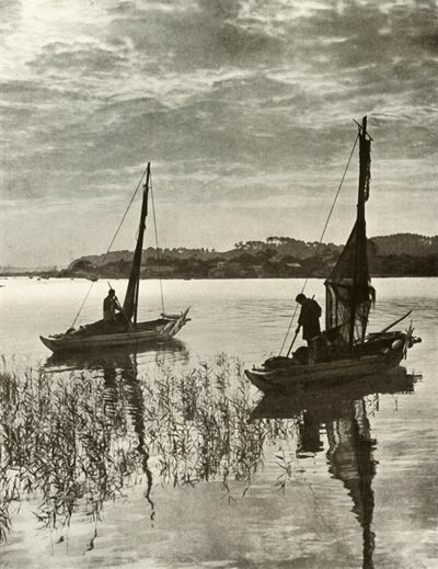 Tokyo Körfezi