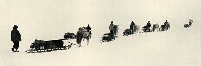 Mart 1911, 1913