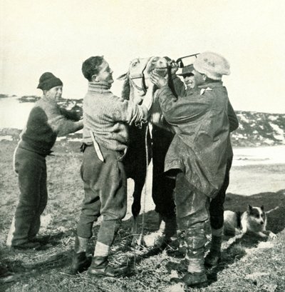 Midilli Viski Alır, 8 Şubat 1911, 1913 by Herbert Ponting