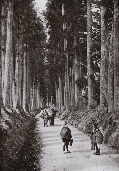 Nikko