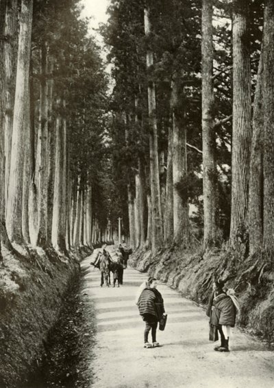 Nikko