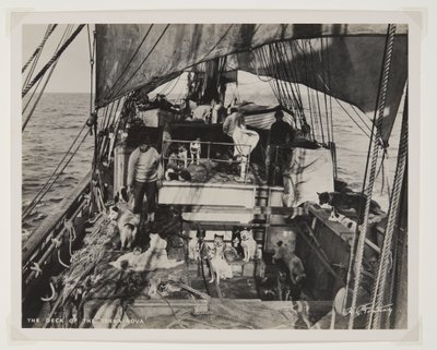 Terra Nova Güverte (bromür baskı) by Herbert Ponting