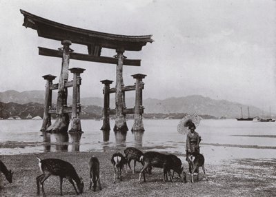 Miyajima