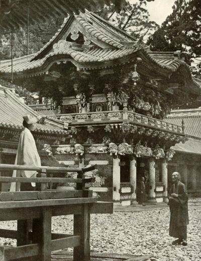 Yaşam beklentisi Nikko