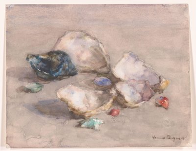 Sahildeki kabuklar by Herman Bogman (signed by artist)