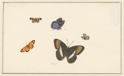 Beş Kelebek (suluboya ve guaj) by Herman Henstenburgh