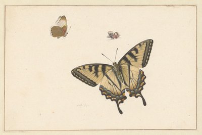 üç kelebek by Herman Henstenburgh