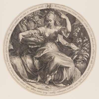  by Herman Jansz. Muller