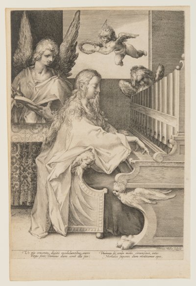  by Herman Jansz. Muller