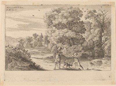 Balıktan Korkan Tobias by Herman van Swanevelt