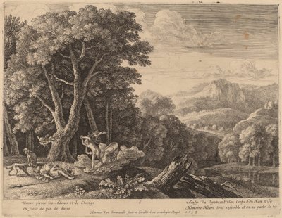 Venüs, Adonis