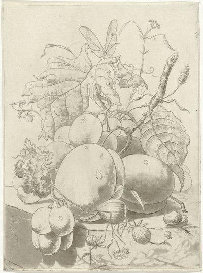 Meyveler ve kelebekli bir dal by Hermanus Fock