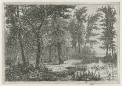Ördekler ile bir fen ile orman manzarası by Hermanus Jan Hendrik van Rijkelijkhuysen