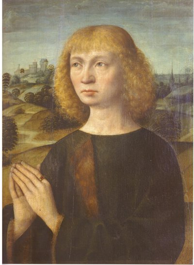 genç bir adam portresi by Hermen Rode