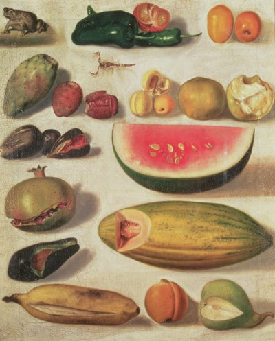 Meyve ve Kurbağa ile Natürmort by Hermenegildo Bustos