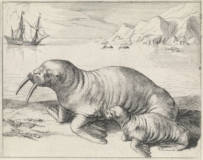 Spitsbergen yakınlarındaki Mors by Hessel Gerritsz