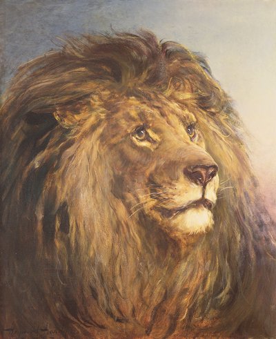 Aslan başı by Heywood Hardy