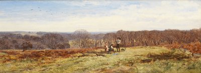 New Forest, Hampshire