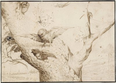 Eulennest. 1505-10 by Hieronymus Bosch