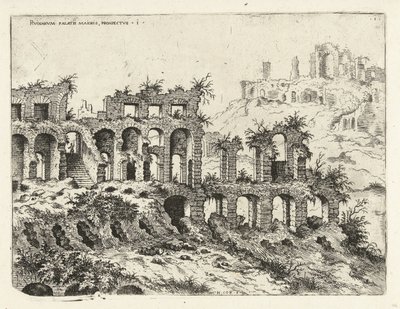 Kolezyum ve Palatine Tepesi manzarası Rvinarvm palatii maioris, prospektifler 1 (nesne üzerindeki başlık) Roma kalıntıları (dizi adı) by Hieronymus Cock