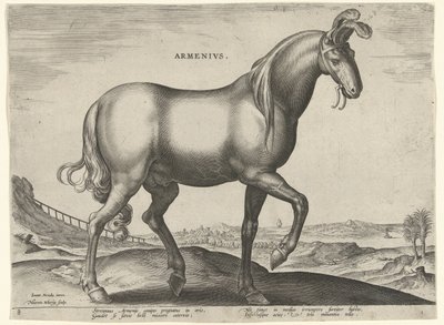 Ermenistan