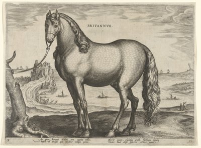 Brittany'den (Brittanus) At Britannvs (nesne üzerinde başlık) Avusturya'nın Don Juan Kraliyet Ahırlarından at ırkları (seri başlığı) Equile Ioannis Austriaci Caroli (seri başlığı) by Hieronymus Wierix