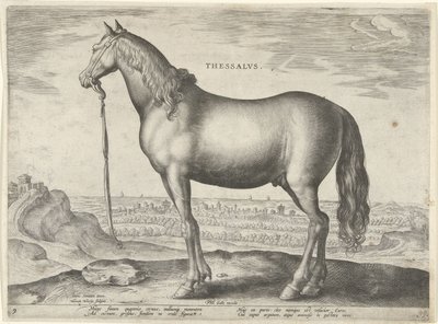 Thessaly'den (Thessalus) Thessalvs (nesne üzerinde başlık) Avusturya'nın Don Juan Kraliyet Ahırlarından at ırkları (seri başlığı) Equile Ioannis Austriaci Caroli (seri başlığı) by Hieronymus Wierix
