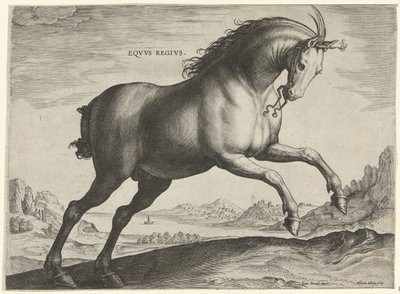 Equus Regius (Kraliyet) cinsinin atı Eqvvs Regivs (nesne üzerindeki başlık) Avusturya Don Juan Kraliyet Ahırlarından At Irkları (seri başlığı) Equile Ioannis Austriaci Caroli (dizi adı) by Hieronymus Wierix