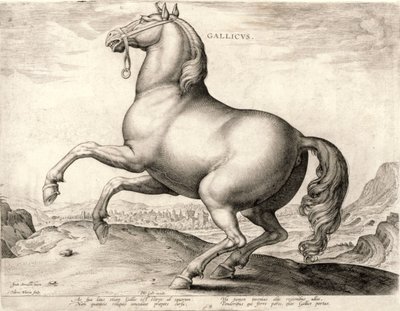 Avusturya