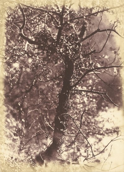 Colinton