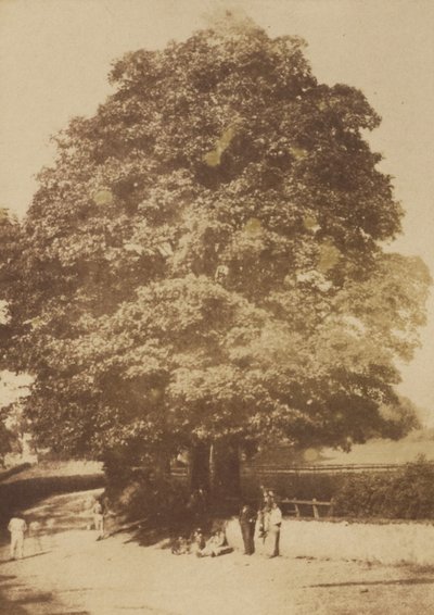 [Roslin] by Hill and Adamson