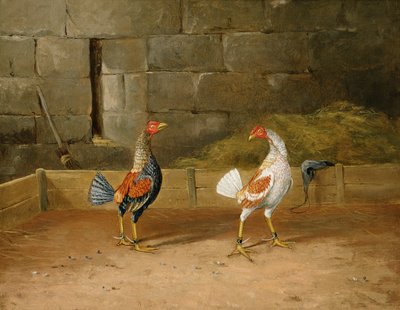 The Challenge (tuval üzerine yağlı boya) (101164
