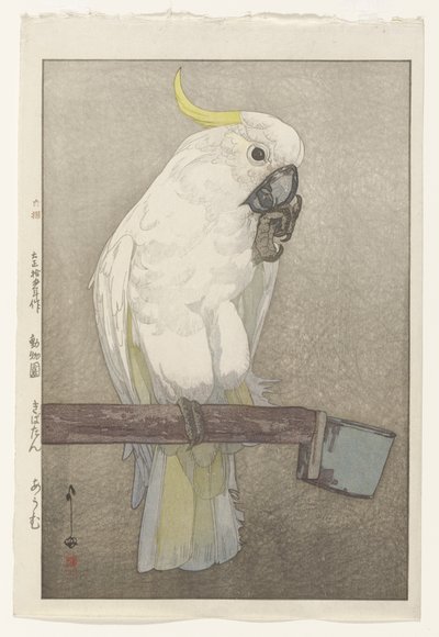 Kükürt Tepeli Kakadu by Hiroshi Yoshida