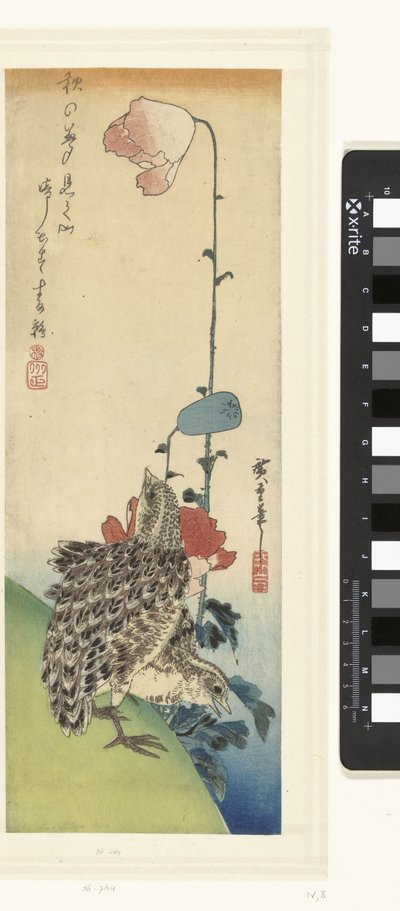 Bıldırcın ve haşhaş by Hiroshige (I) , Utagawa