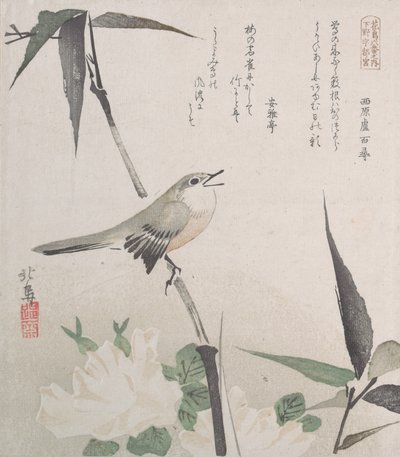 Bülbüllü Güller ve Bambu, 19. yüzyıl., 19. yüzyıl. by Hokuba