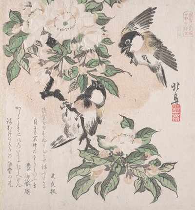 Spring Rain Koleksiyonu Harusame shu, vol. 3: Bataklık göğüsleri ve Yengeç Elma Çiçekleri, ca. ..., CA. 1820. by Hokuba