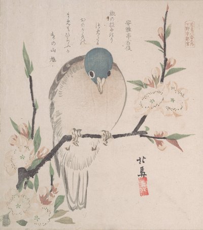 Spring Rain Koleksiyonu Harusame shu, vol. 3: Dağ Güvercini ve Şeftali Çiçekleri, ca. 1820., yaklaşık 1820. by Hokuba